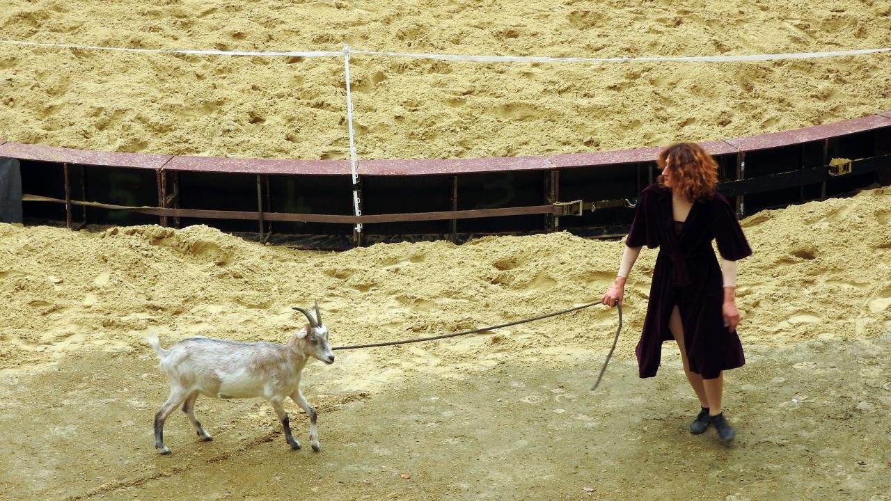 Fort de Condé spectacle équestre  (29)