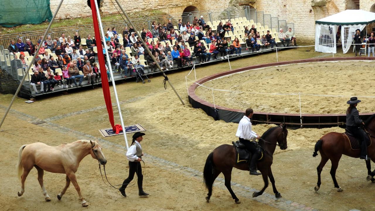 Fort de Condé spectacle équestre  (3)