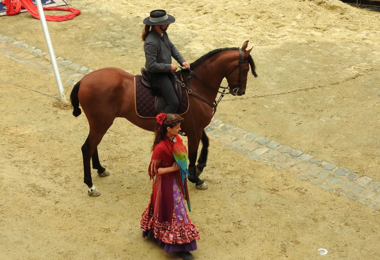 Fort de Condé spectacle équestre  (32)