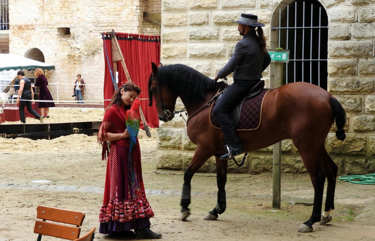 Fort de Condé spectacle équestre  (33)