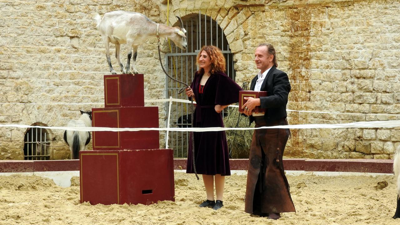 Fort de Condé spectacle équestre  (34)