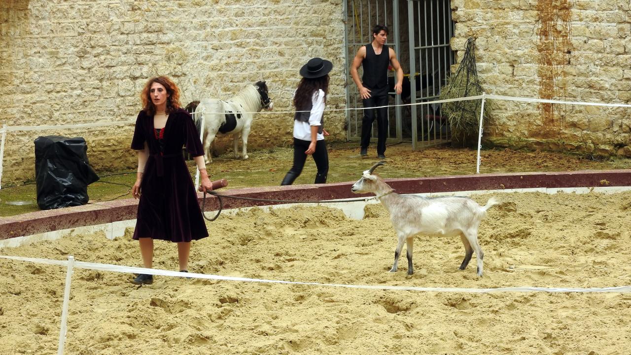 Fort de Condé spectacle équestre  (36)
