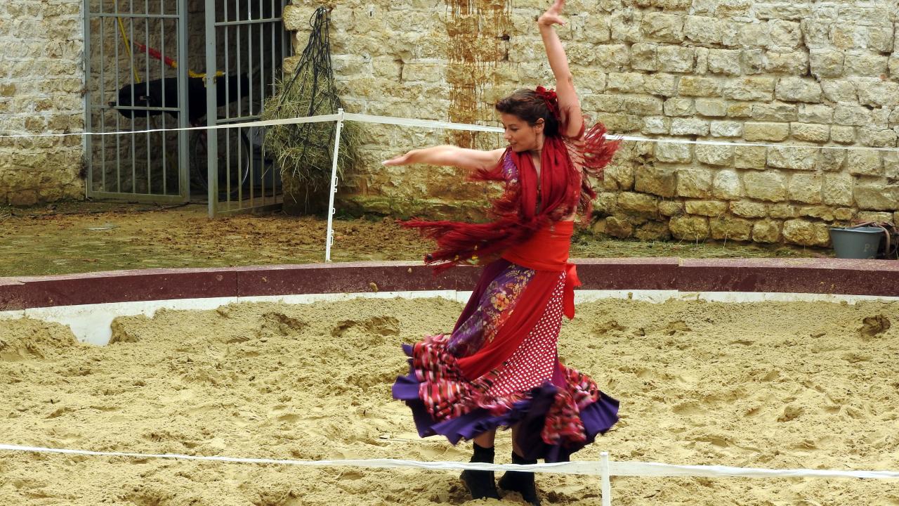 Fort de Condé spectacle équestre  (37)