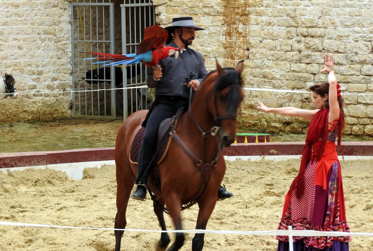 Fort de Condé spectacle équestre  (38)