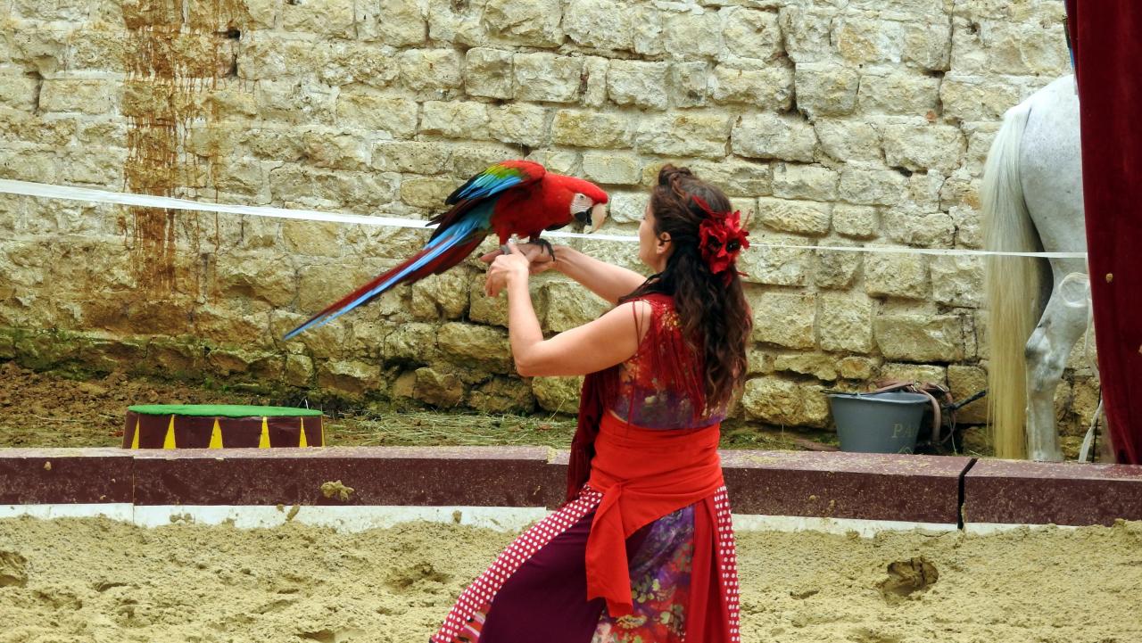 Fort de Condé spectacle équestre  (39)