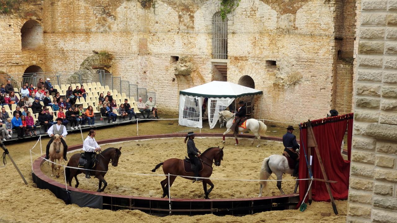 Fort de Condé spectacle équestre  (4)