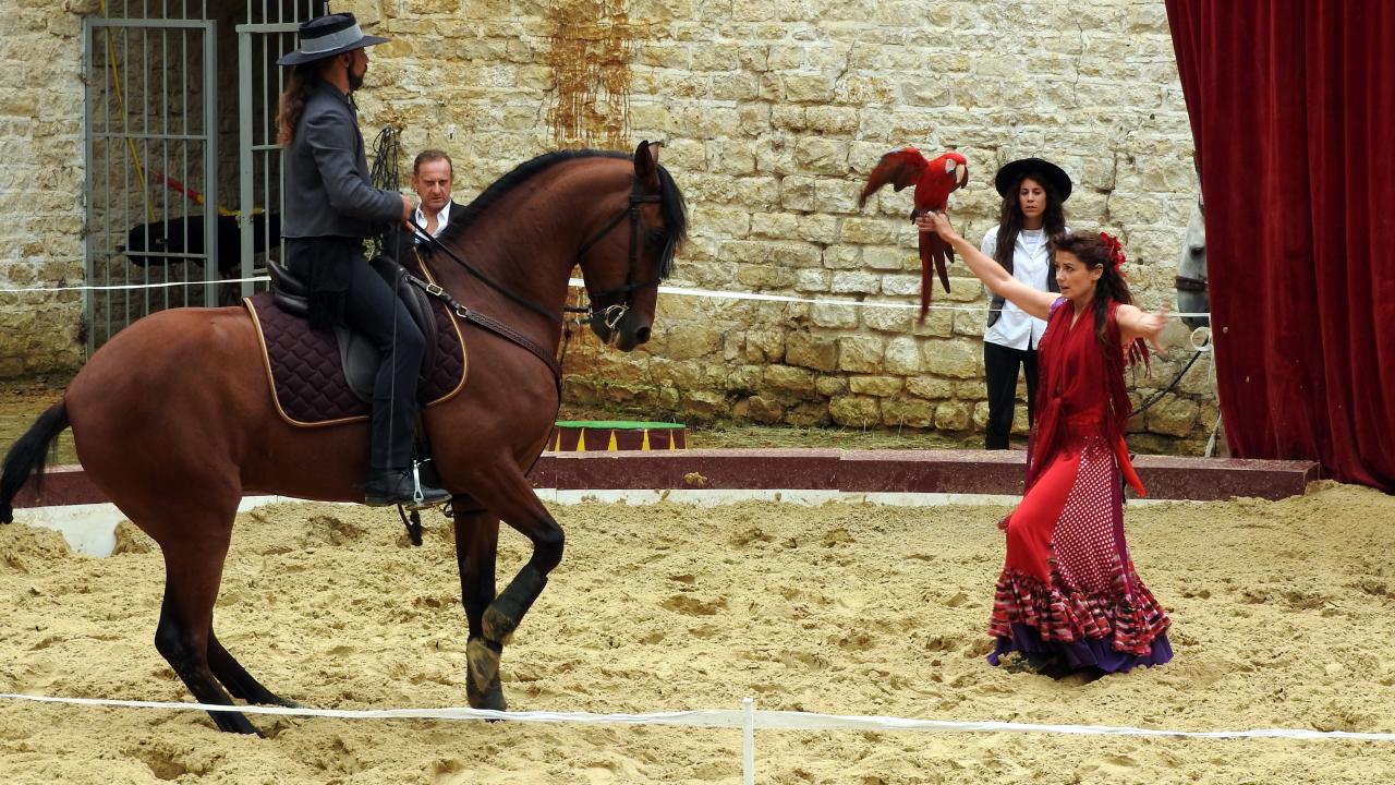 Fort de Condé spectacle équestre  (40)