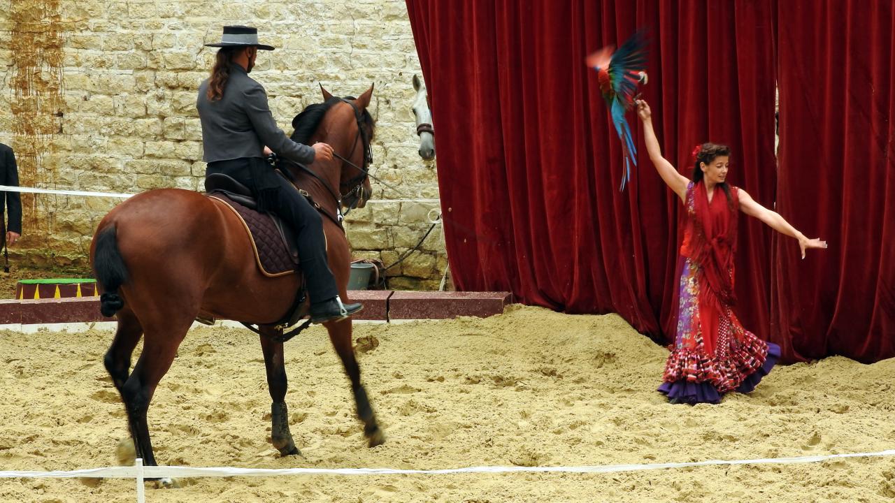 Fort de Condé spectacle équestre  (41)