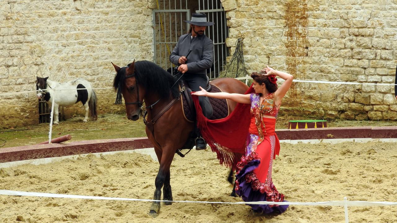 Fort de Condé spectacle équestre  (42)