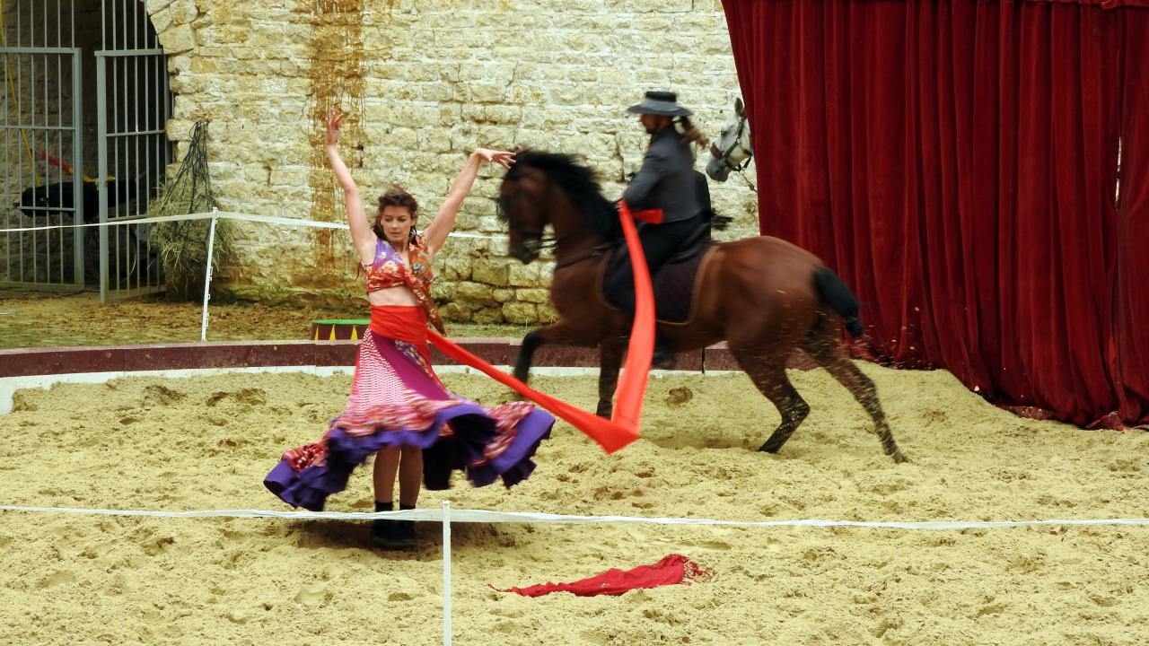 Fort de Condé spectacle équestre  (45)
