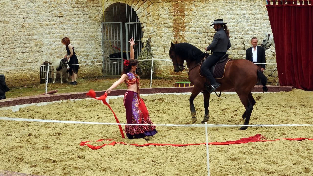 Fort de Condé spectacle équestre  (46)