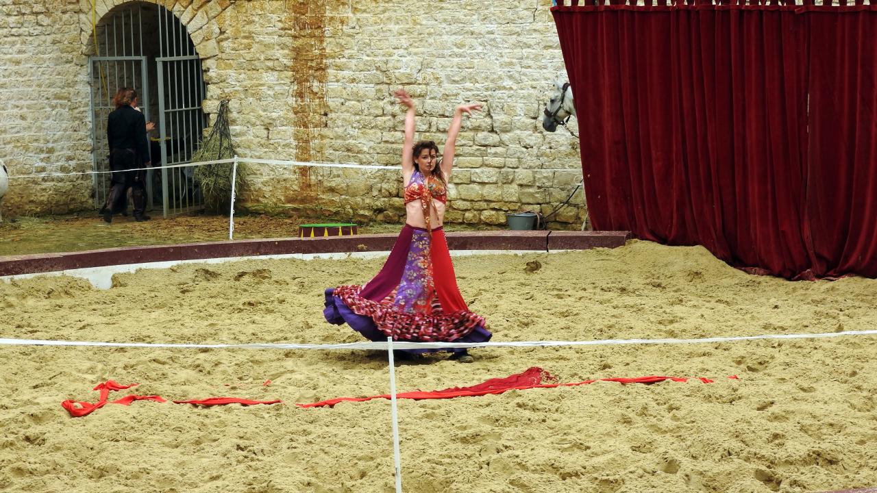 Fort de Condé spectacle équestre  (47)