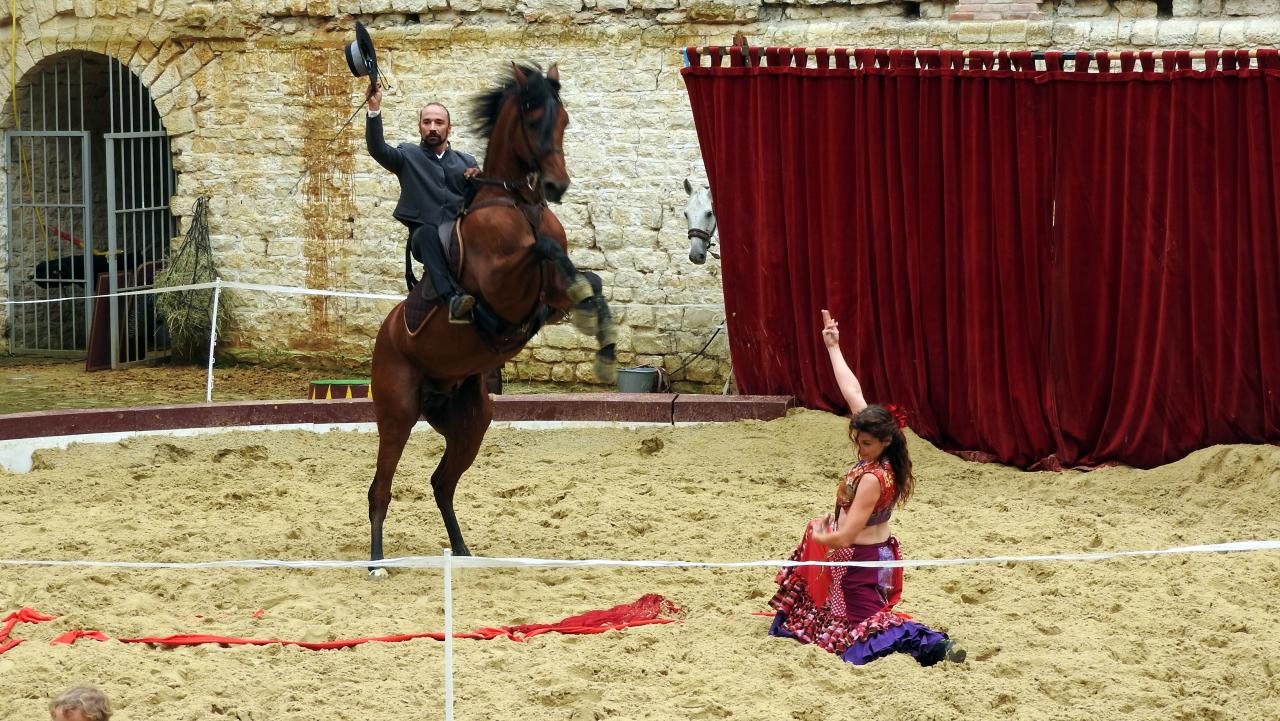 Fort de Condé spectacle équestre  (48)