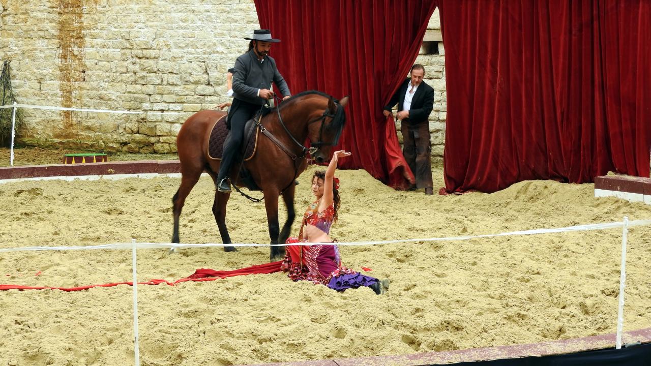 Fort de Condé spectacle équestre  (49)