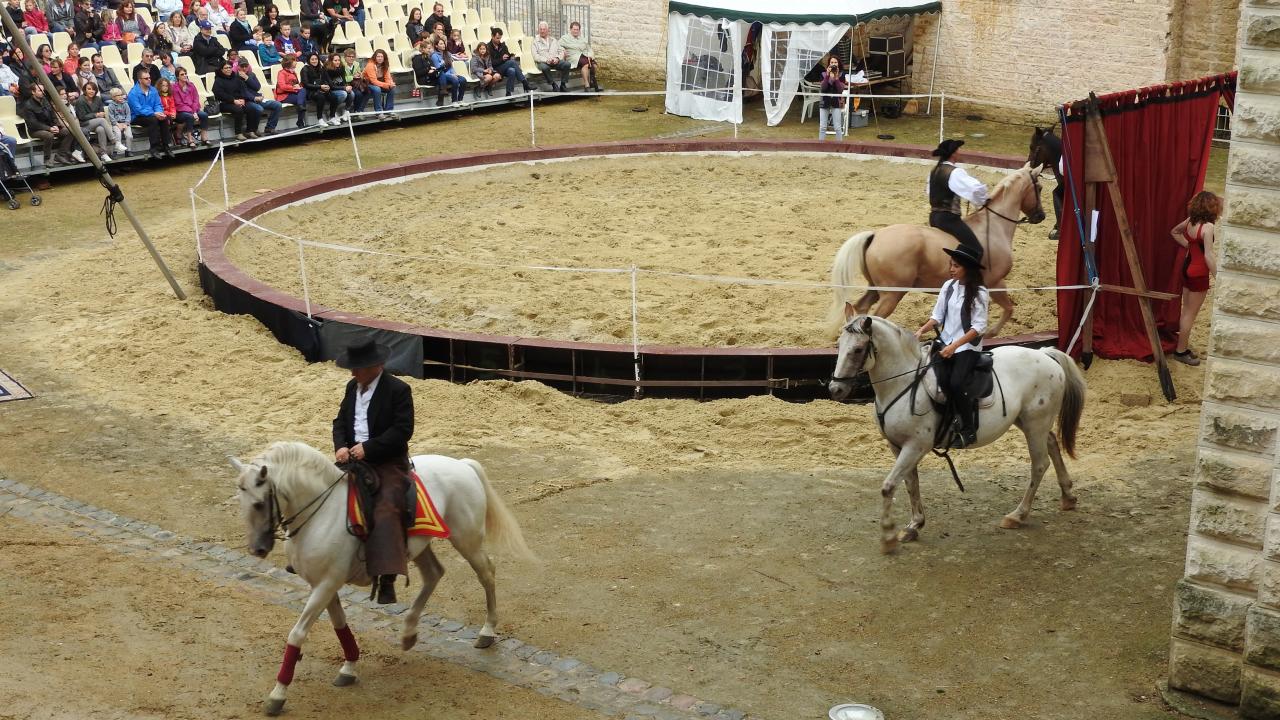 Fort de Condé spectacle équestre  (5)