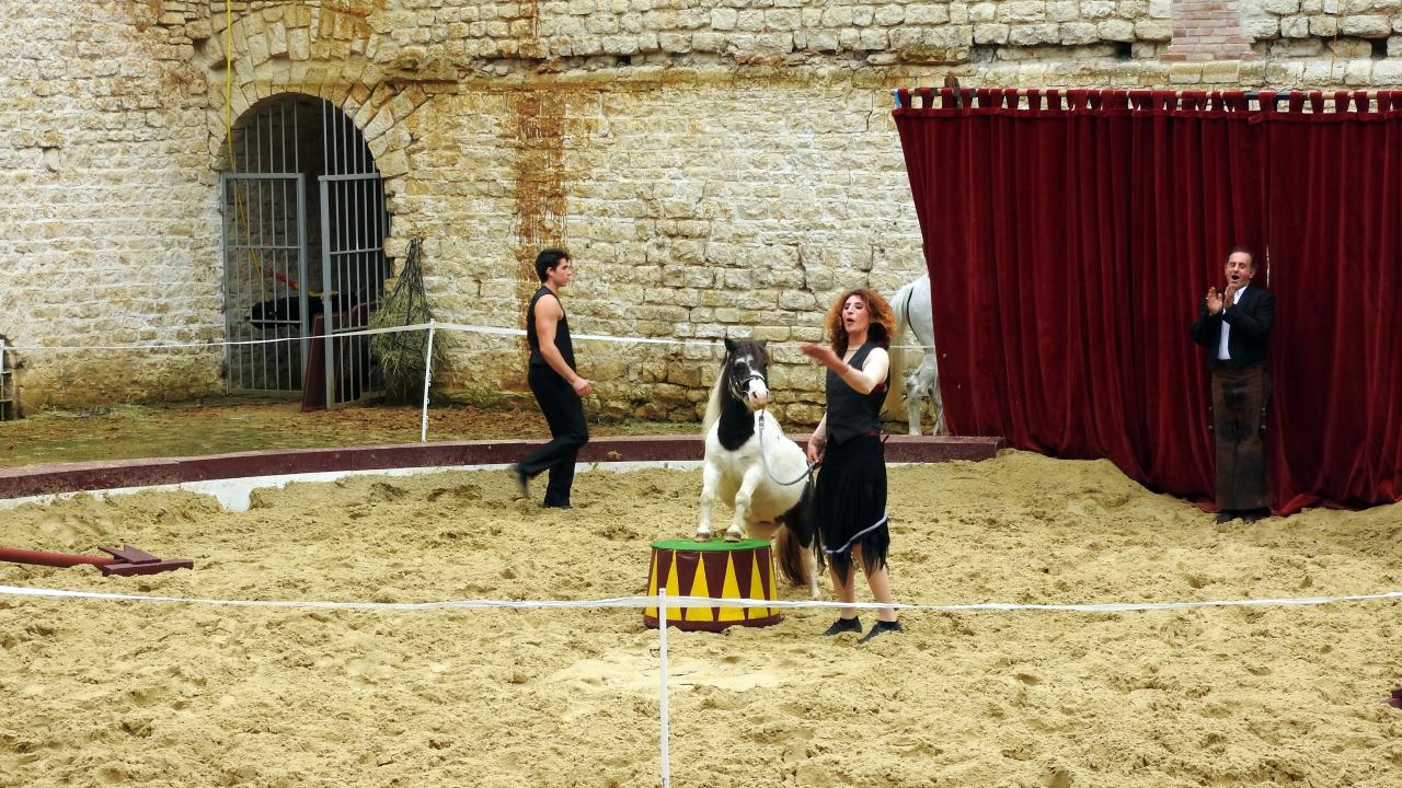 Fort de Condé spectacle équestre  (51)