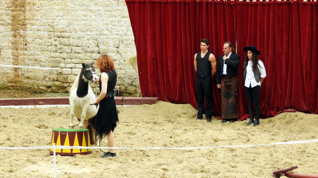 Fort de Condé spectacle équestre  (52)