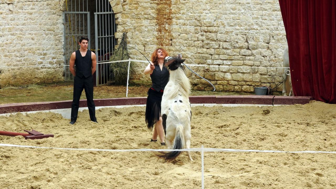 Fort de Condé spectacle équestre  (53)