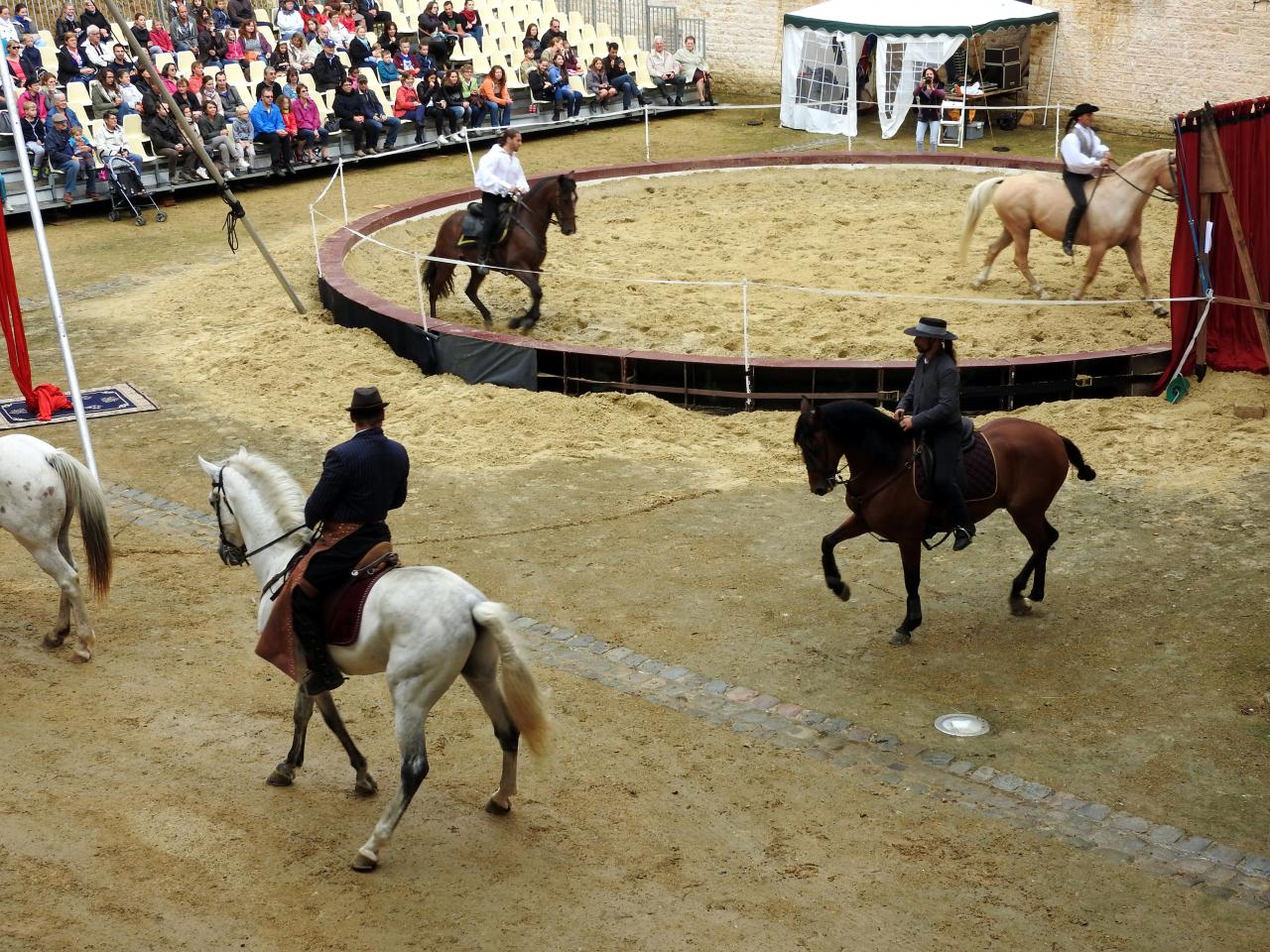 Fort de Condé spectacle équestre  (6)