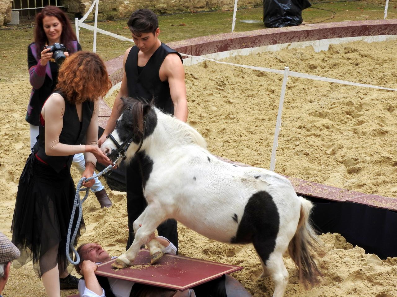 Fort de Condé spectacle équestre  (61)