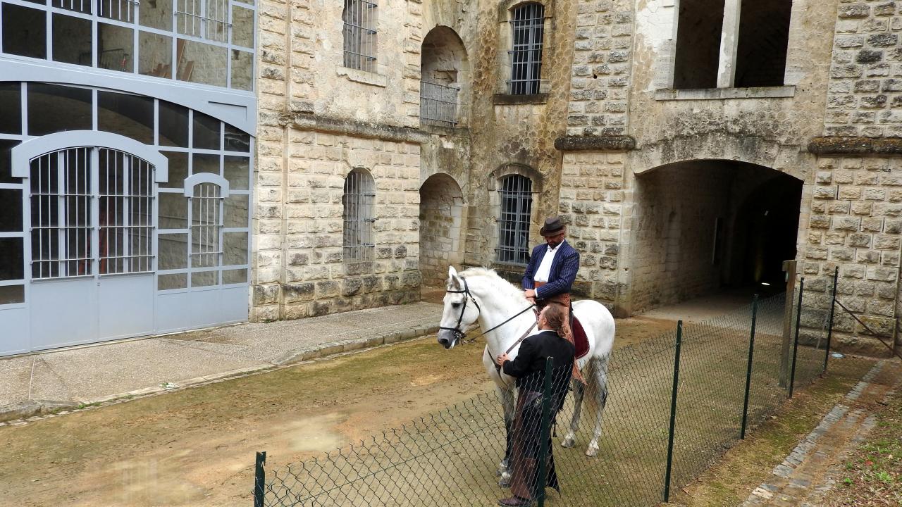 Fort de Condé spectacle équestre  (62)