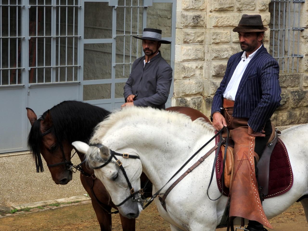 Fort de Condé spectacle équestre  (67)