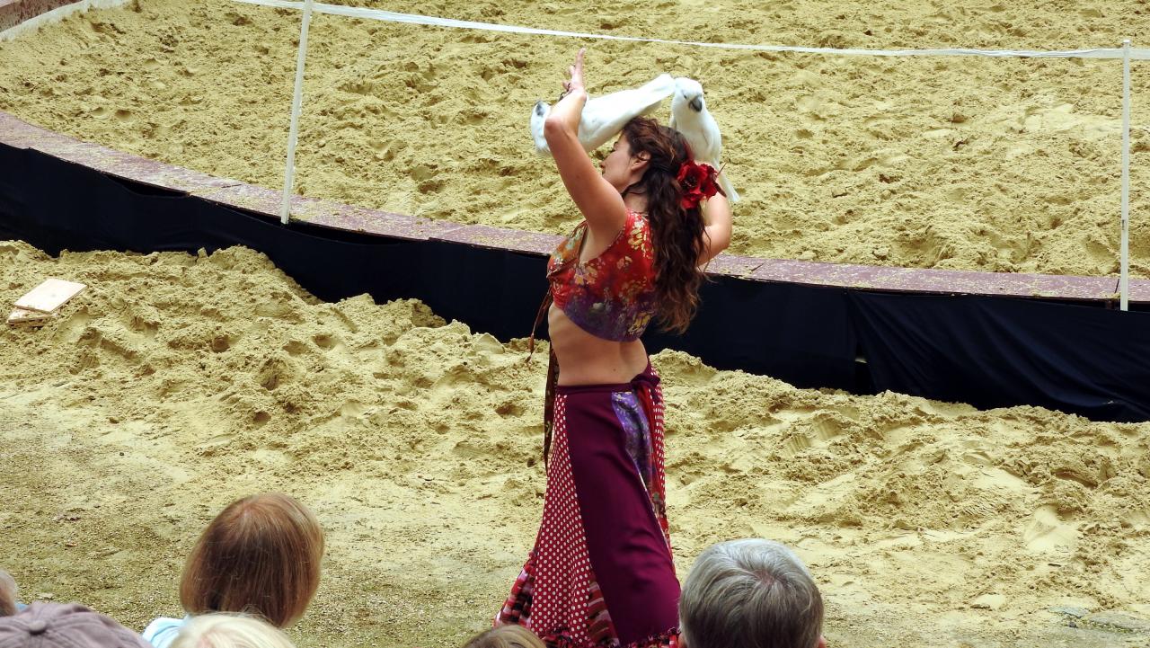 Fort de Condé spectacle équestre  (68)