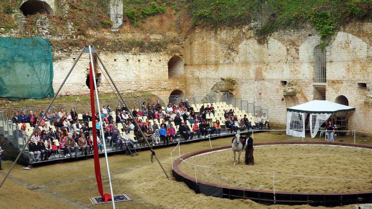 Fort de Condé spectacle équestre  (7)