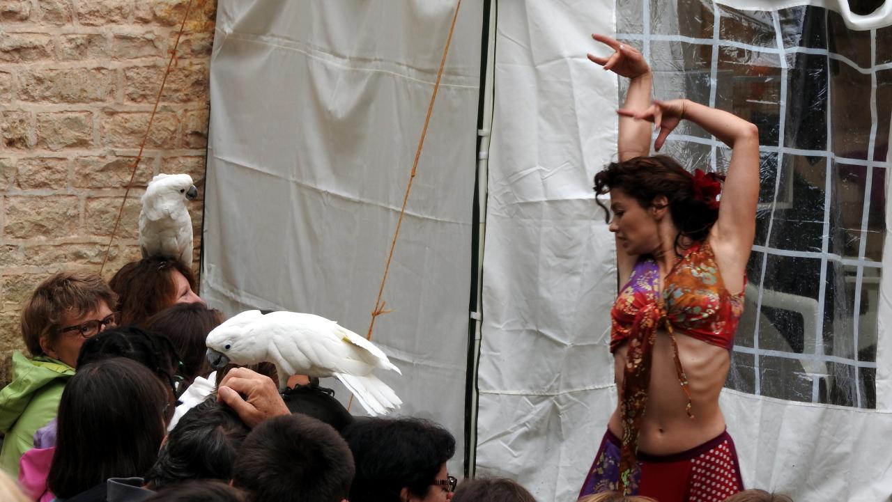 Fort de Condé spectacle équestre  (71)