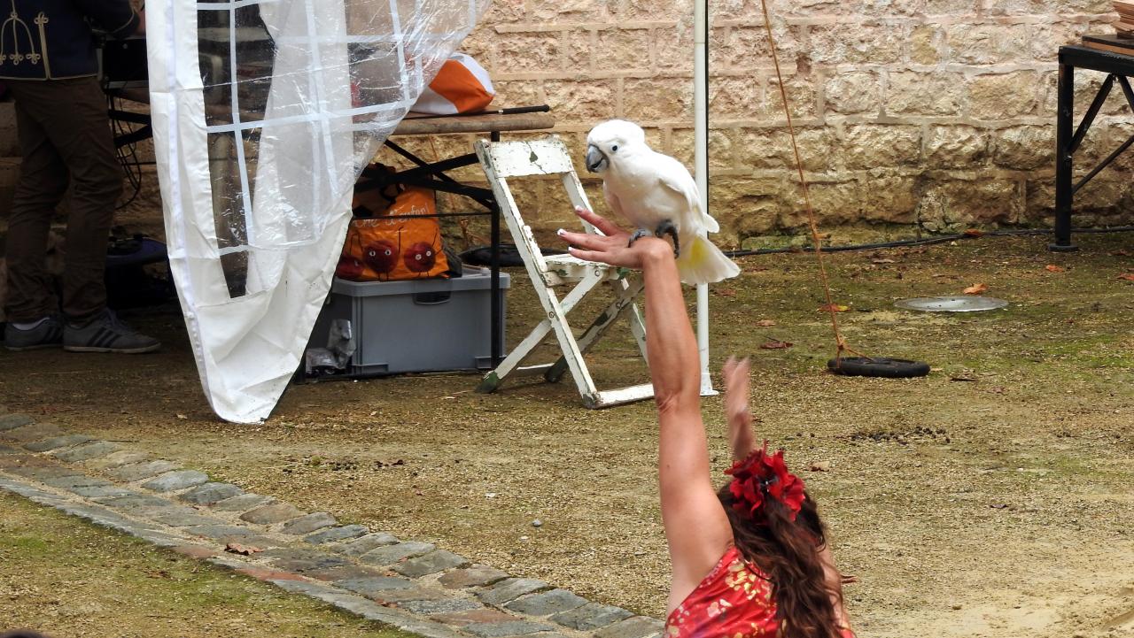 Fort de Condé spectacle équestre  (72)