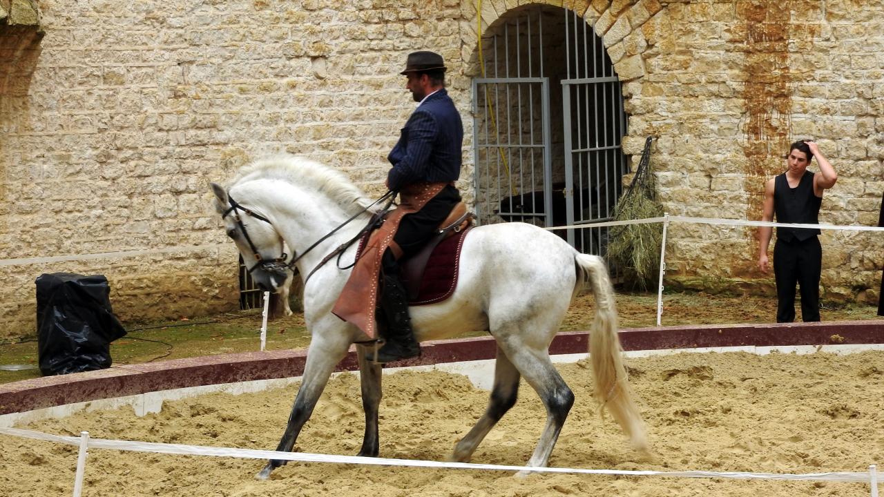 Fort de Condé spectacle équestre  (73)