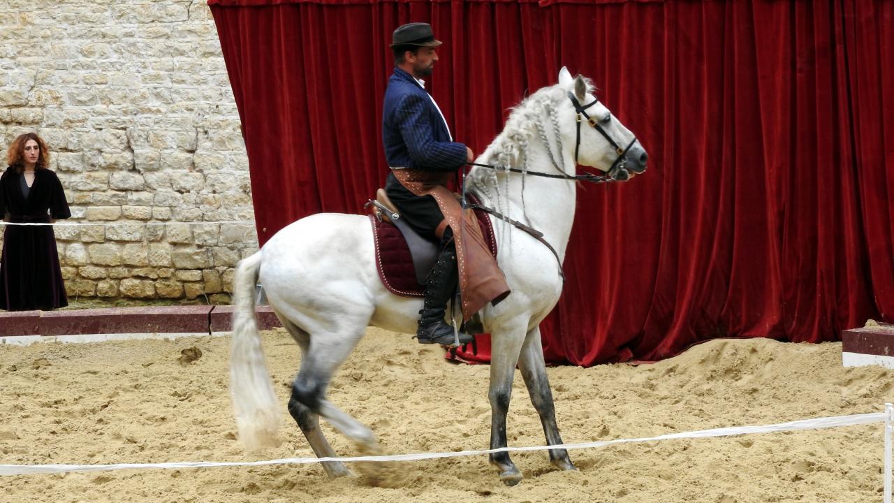Fort de Condé spectacle équestre  (74)
