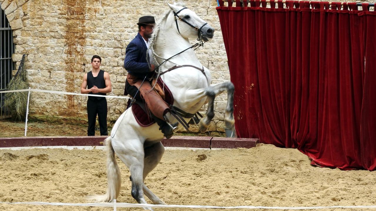 Fort de Condé spectacle équestre  (75)