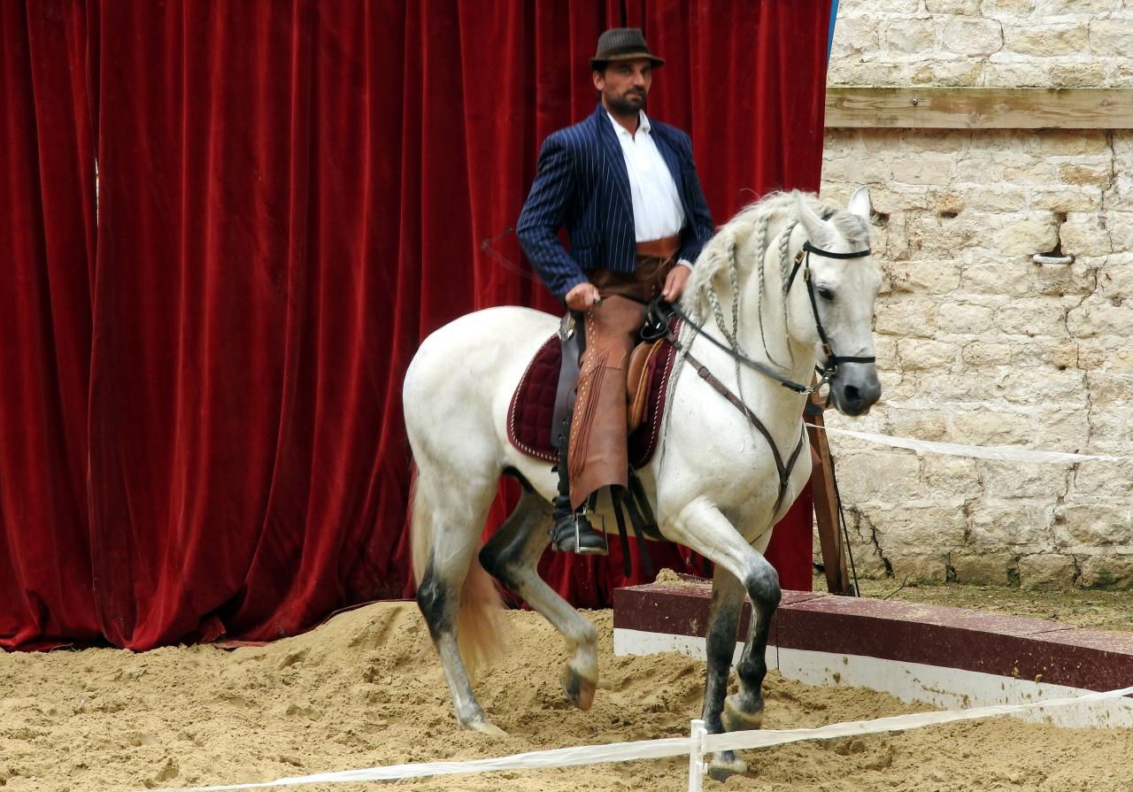 Fort de Condé spectacle équestre  (76)