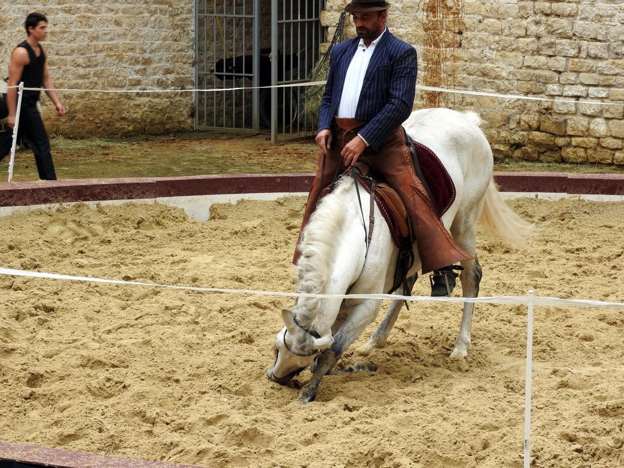 Fort de Condé spectacle équestre  (77)