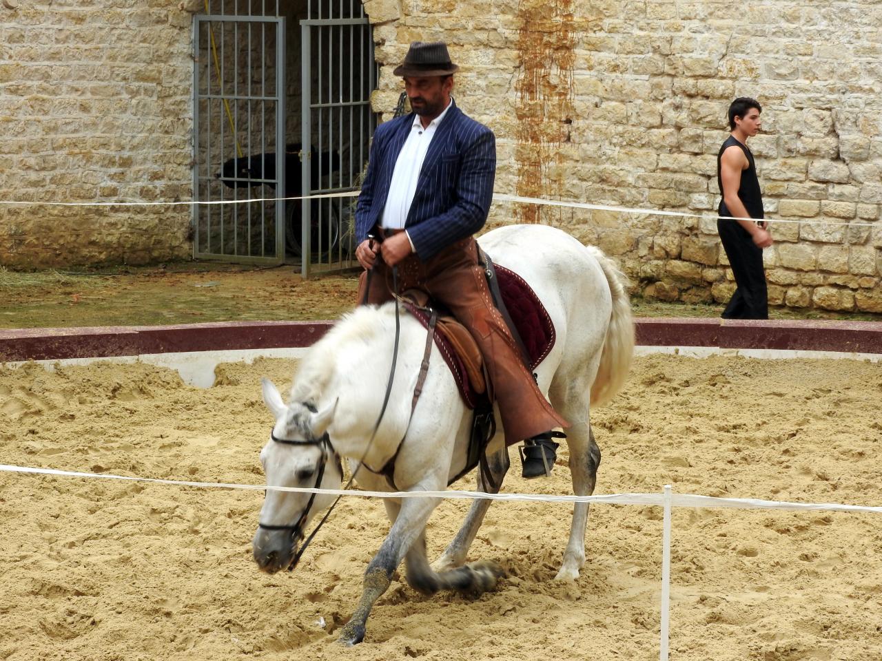 Fort de Condé spectacle équestre  (78)