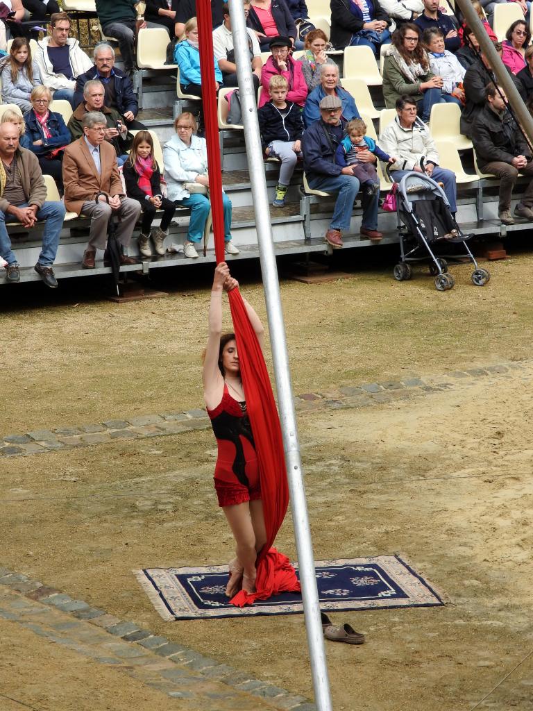 Fort de Condé spectacle équestre  (8)