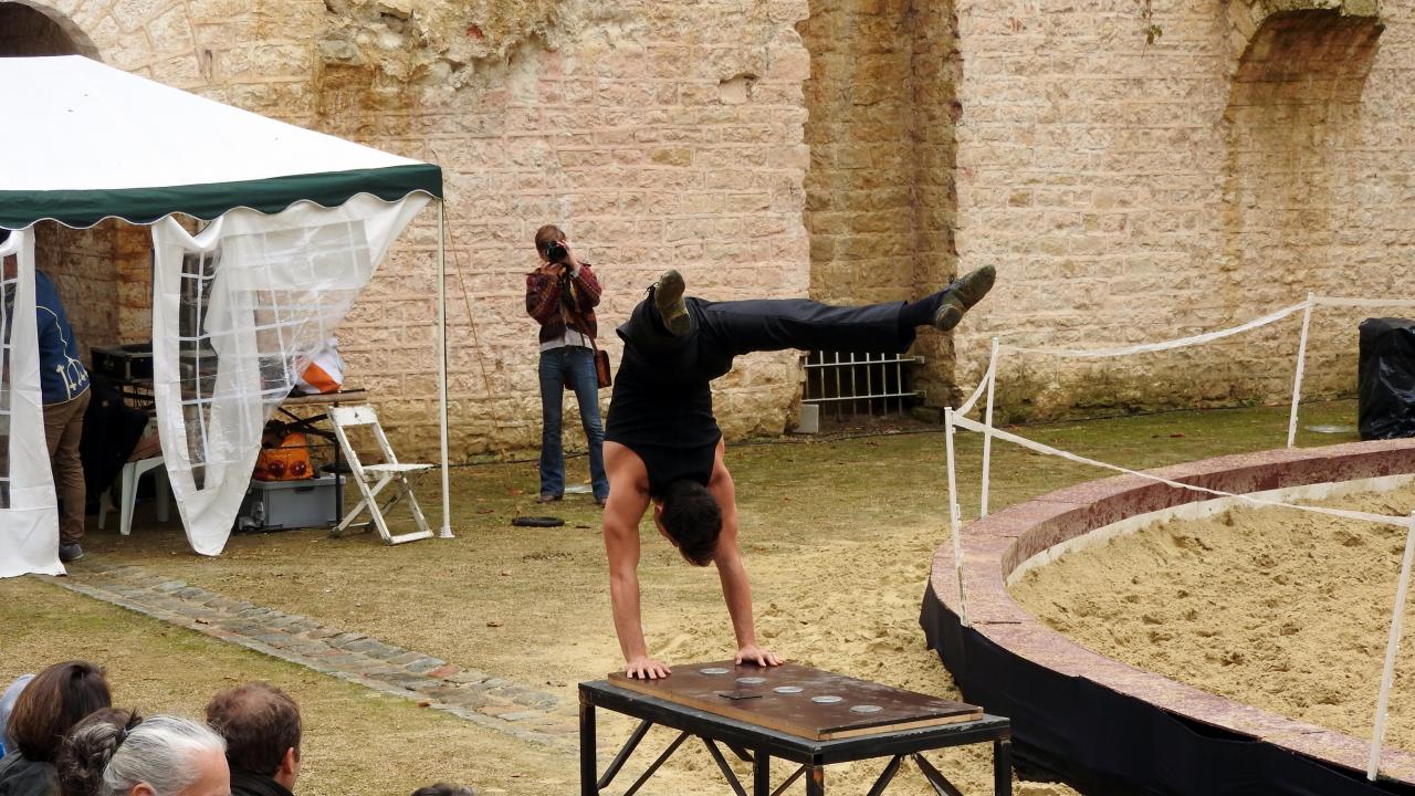 Fort de Condé spectacle équestre  (80)