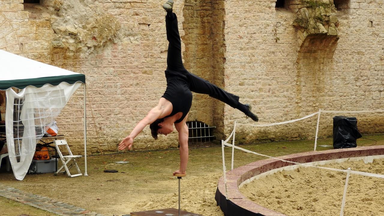 Fort de Condé spectacle équestre  (81)