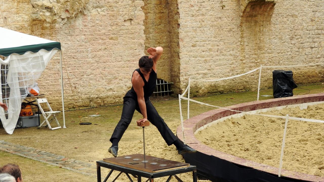 Fort de Condé spectacle équestre  (83)