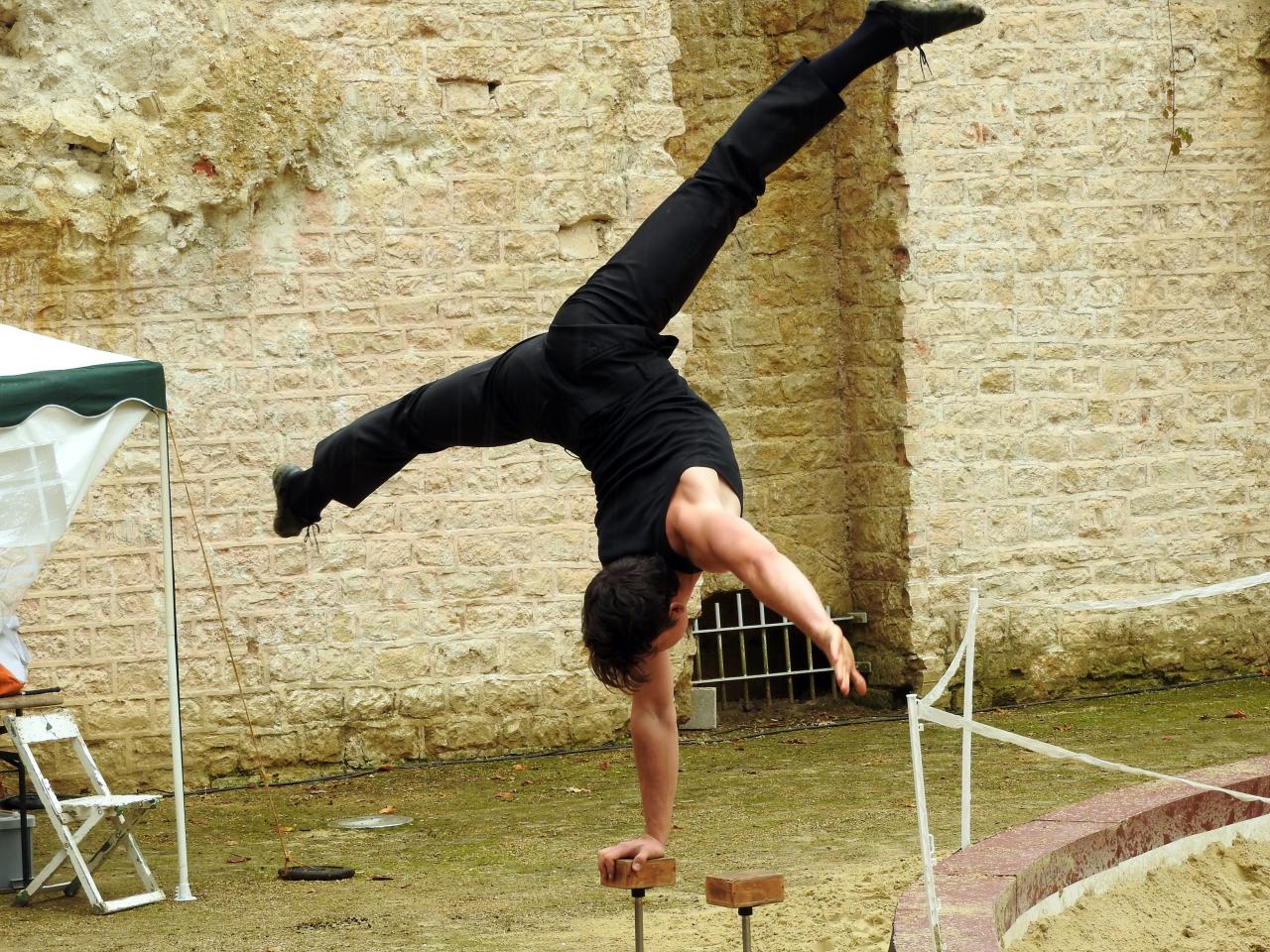 Fort de Condé spectacle équestre  (84)