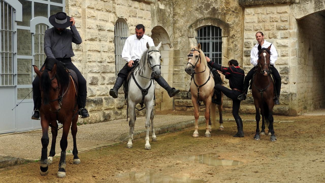 Fort de Condé spectacle équestre  (86)