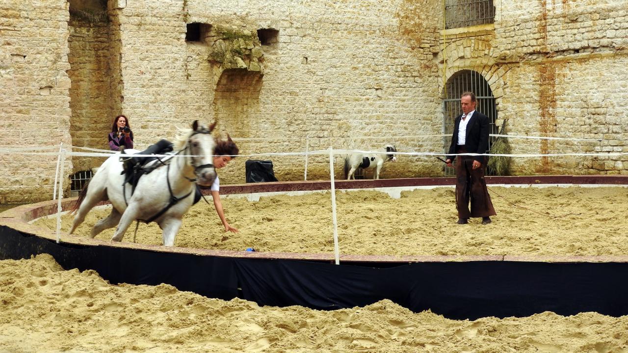 Fort de Condé spectacle équestre  (87)