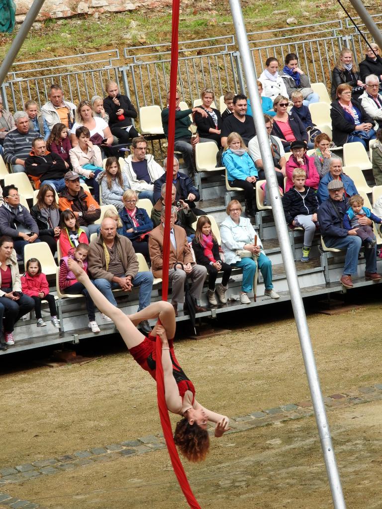 Fort de Condé spectacle équestre  (9)