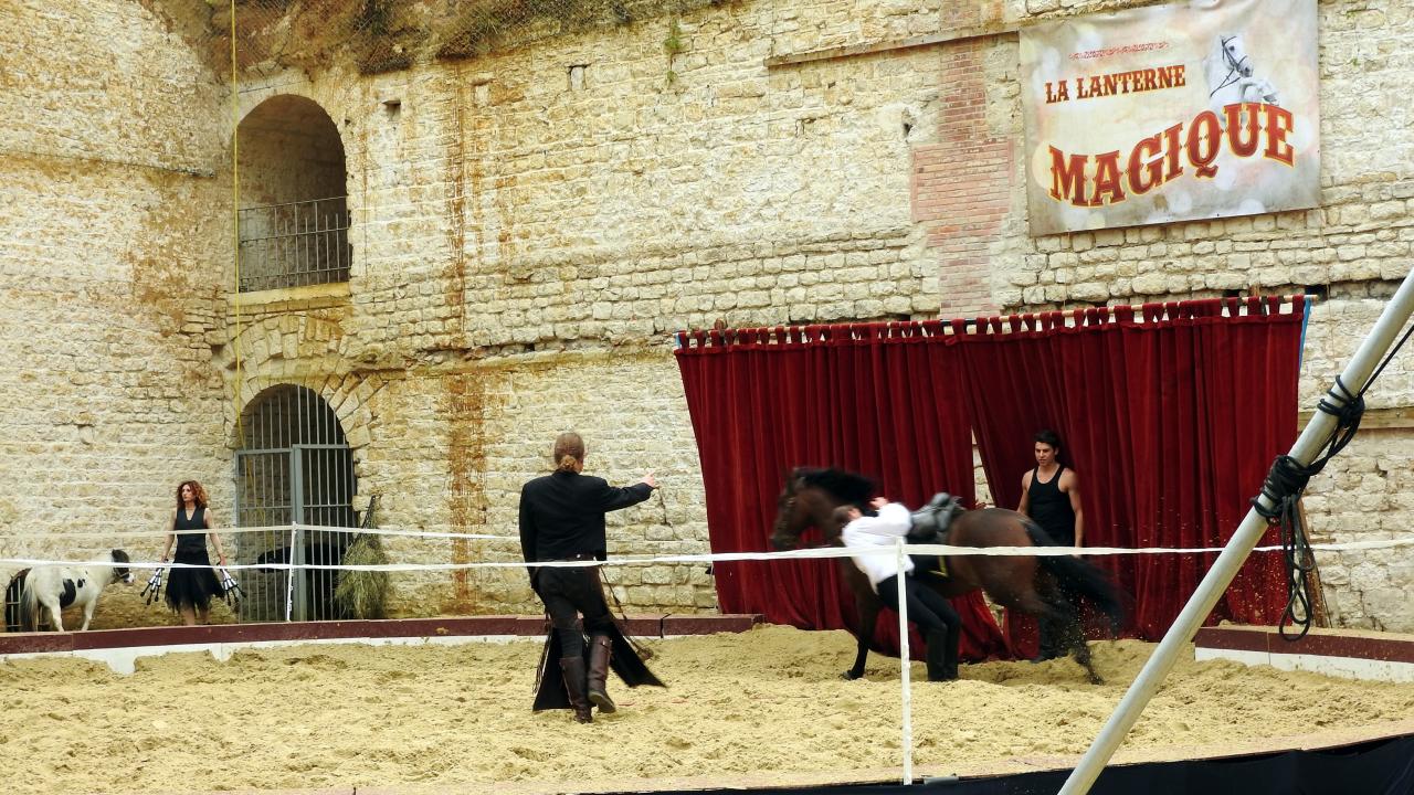 Fort de Condé spectacle équestre  (90)
