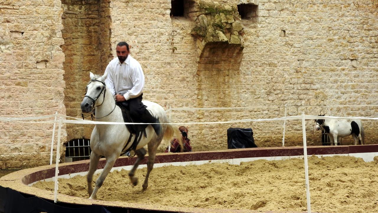 Fort de Condé spectacle équestre  (92)