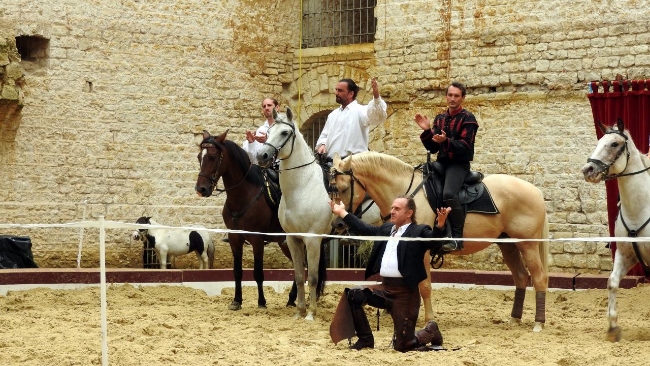Fort de Condé spectacle équestre  (95)