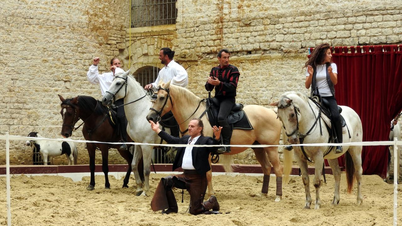 Fort de Condé spectacle équestre  (96)