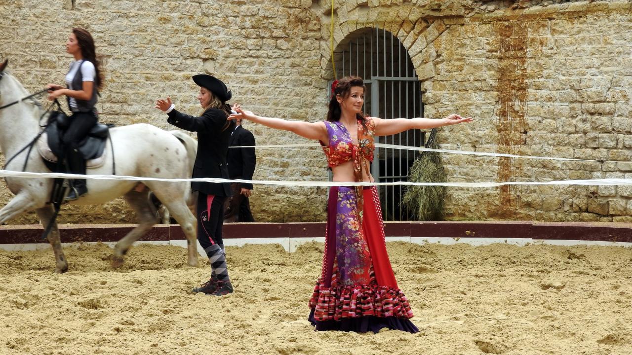 Fort de Condé spectacle équestre  (97)