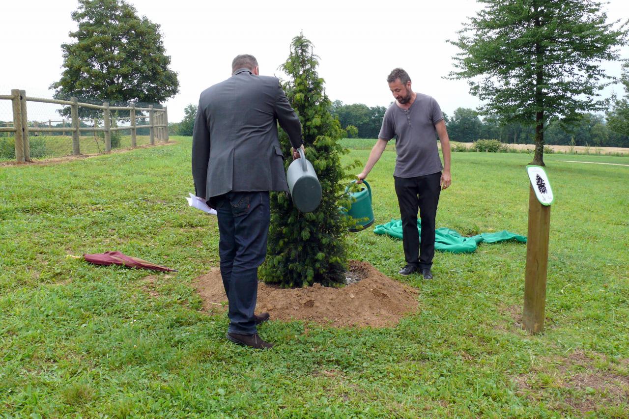 Fort de condé (Arborétum) 